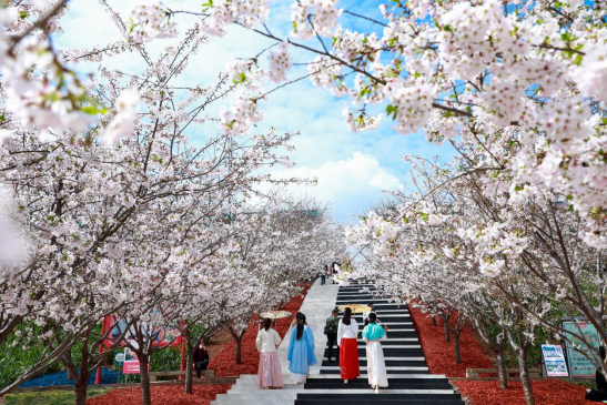 香城宝地 古蜀新都